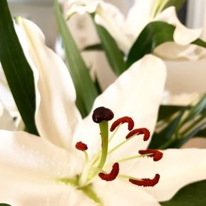 Meet your Posher, Jen